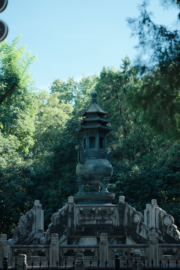 DSCF0842